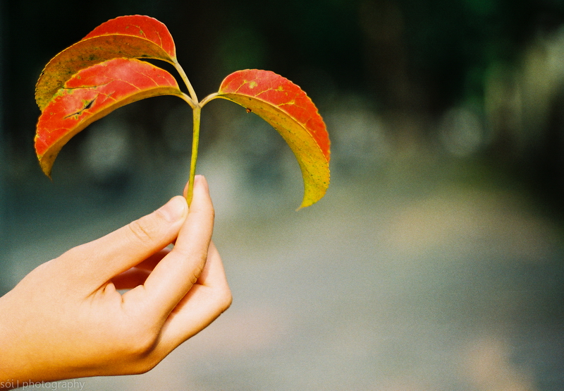 Hãy chụp mọi thứ có thể chiec la