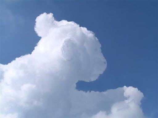 Đám mây hình chú báo trắng muốt rất đẹp