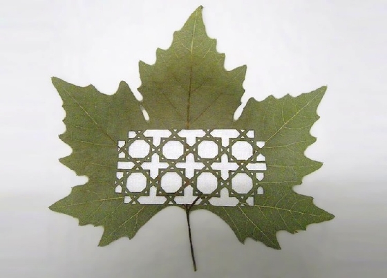 Đỉnh cao nghệ thuật cắt hình trên lá Nghệ thuật cắt hình trên lá