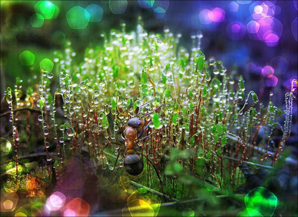 Những khung cảnh khác lạ và tuyệt đẹp trên trái đất