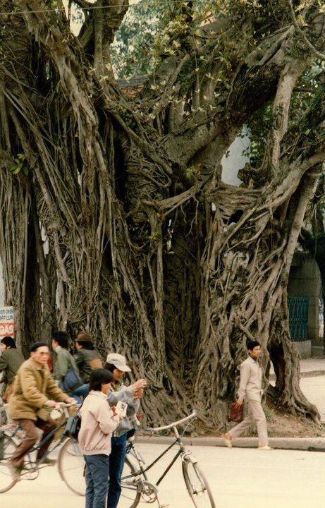 ngam-anh-ha-noi-nhung-nam-90-37.jpg (500×328)