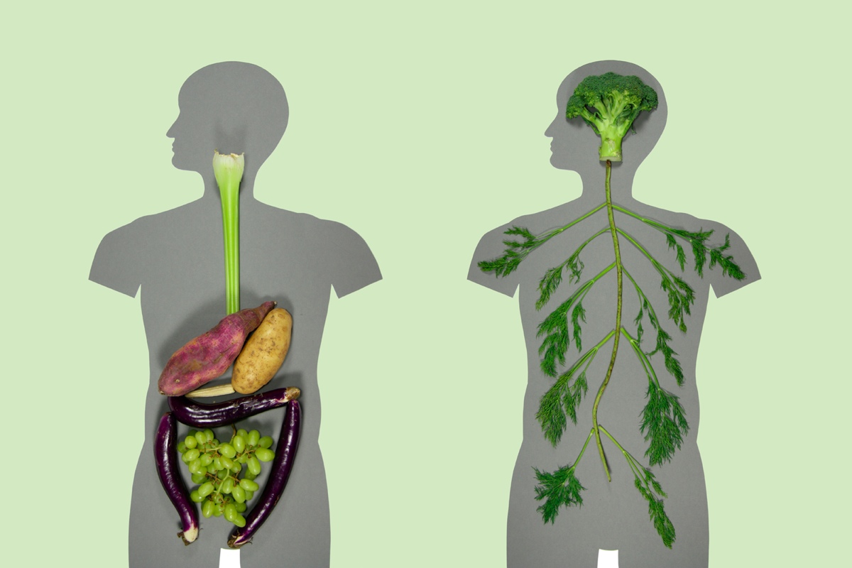Chiêm ngưỡng những tác phẩm “sáng tạo hết cỡ” của Kyle Bean Chiêm ngưỡng những tác phẩm “sáng tạo hết cỡ” của Kyle Bean