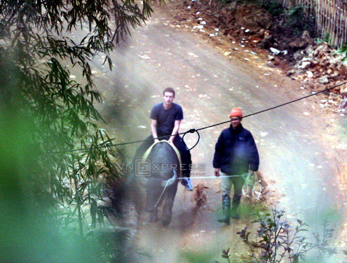 Xem CEO Facebook – Mark Zuckerberg – cưỡi trâu ở Sapa