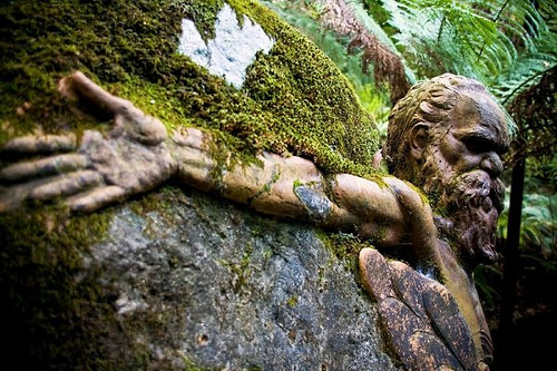 Những tác phẩm điêu khắc độc đáo trong rừng sâu