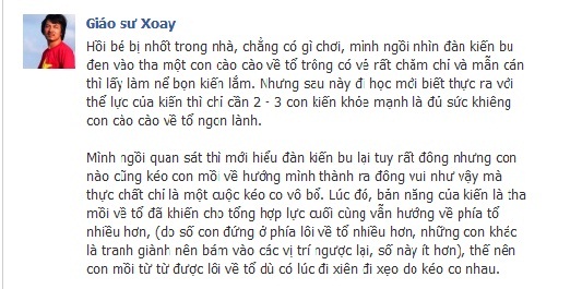 Nghe Giáo sư Xoay kể chuyện kiến tha mồi