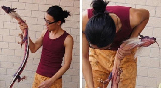 Xôn xao chuyện người đàn ông giết… rồng