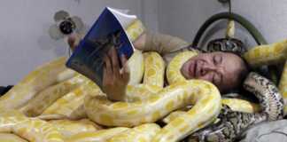 Ôm rắn ngủ để … đón Tết Ông Emmanuel Tangco cùng những con rắn "cưng" của mình.