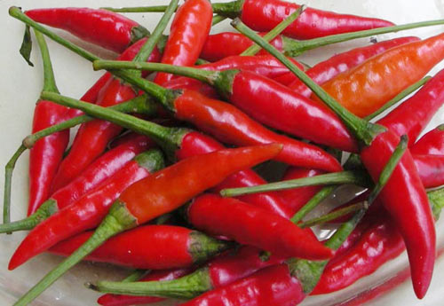 Chữa bỏng do ớt cay