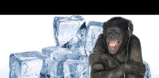 Hướng dẫn tạo “máy lạnh” handmade tại nhà