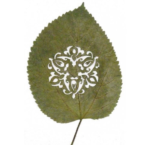 langhethuat6-646743-1372927751_500x0.jpg
