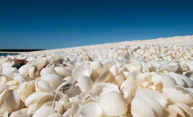 Biển vỏ sò - Úc
