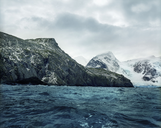 Bãi rêu 5.500 tuổi sống xung quanh đảo Voi, Nam Cực, nơi đoàn thám hiểm Shackleton bị bỏ lại 100 năm trước. Người ta từng coi việc phát hiện bãi rêu  là một chiến tích. 