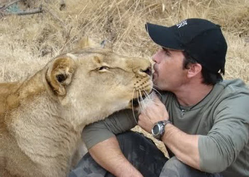 Kevin Richardson là một nhà bảo vệ động vật. Người đàn ông này từng được nhiều đàn sư tử và linh cẩu "chấp nhận" trong khu vực sống của chúng