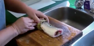 Vì sao cá mất đầu vẫn giãy đành đạch?