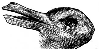 Ảnh độc đáo: Ảo ảnh thị giác 100 tuổi cho biết bạn có sáng tạo?!