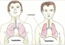 Bài tập thở “để đời” giúp sống thọ và sống khỏe