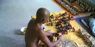 Cách nuôi dạy Kuman Thong như thế nào ?