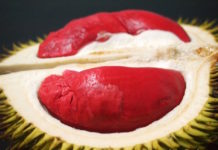 Những điều đặc biệt về đất nước Malaysia (P1) Malaysia còn sở hữu sầu riêng ruột đỏ đặc trưng hiếm thấy (Udang Merah). Ảnh: Year of the durian.