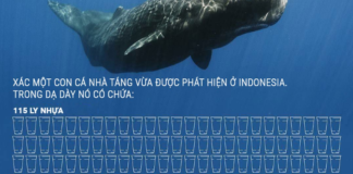 “Chúng ta âm thầm phá huỷ môi trường như thế nào?”