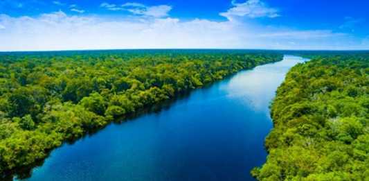 Rừng mưa Amazon hay rừng nhiệt đới Amazon ở Nam Mỹ là rừng mưa nhiệt đới lớn nhất thế giới, sản sinh ra gần 20% lượng khí oxy trong khí quyển Trái Đất. Ảnh: Forbes.