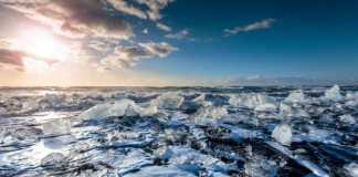 15 điều thú vị có thể bạn chưa biết về Bắc cực