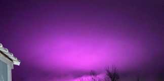 Bức ảnh màu tím gây tò mò tại Mỹ