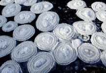 Giải mã bí ẩn đĩa băng bao phủ kín mặt sông