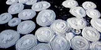 Giải mã bí ẩn đĩa băng bao phủ kín mặt sông