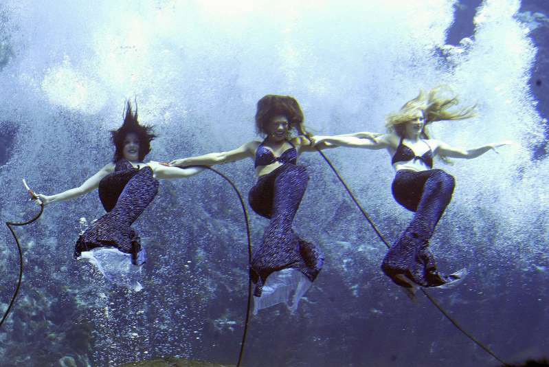 Weeki Wachee Springs ở Florida, Mỹ