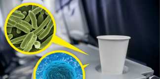 10 lời khuyên của tiếp viên hàng không cho bạn khi đi máy bay