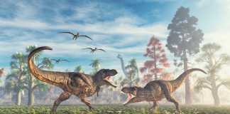 Đã có bao nhiêu con khủng long T. Rex từng tồn tại?