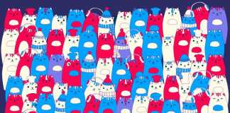 Thử thách cùng bé yêu: tìm vật thể ẩn