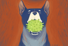 Một loại virus Corona mới, được phát hiện ở Malaysia – Và nó đến từ những chú chó