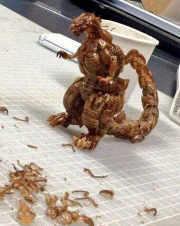 Godzilla thực hiện từ khoảng năm 2016 Godzilla thực hiện từ khoảng năm 2016