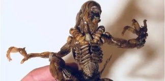 Tạo hình kinh dị nhưng đầy cuốn hút từ vỏ ve sầu lột xác