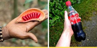 10 sản phẩm phổ biến trông như thế nào trước khi xuất hiện trên kệ hàng?! Coca-Cola