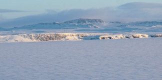 Bắc Cực đã ấm lên nhanh hơn gấp ba lần so với toàn bộ hành tinh Trong vòng chưa đầy nửa thế kỷ, từ năm 1971 đến năm 2019, nhiệt độ trung bình hàng năm của Bắc Cực đã tăng 3,1 độ C, so với 1 độ C của toàn hành tinh nói chung.