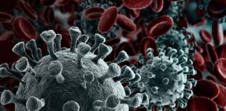 Số lượng người chết của Covid có thể gấp đôi những gì chúng ta nghĩ virus-corona