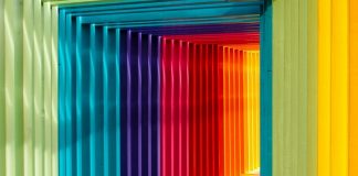 Sự thật thú vị về màu sắc