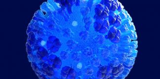 Các biện pháp phòng ngừa COVID-19 có thể giúp loại bỏ hai chủng cúm BẢN VẼ 3D DO MÁY TÍNH TẠO RA VỀ TOÀN BỘ VIRUS CÚM CÓ MÀU XANH LAM BÁN TRONG SUỐT VỚI NỀN XANH NƯỚC BIỂN. ẢNH: TRUNG TÂM KIỂM SOÁT VÀ PHÒNG NGỪA DỊCH BỆNH HOA KỲ