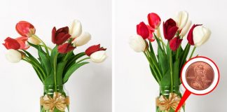 10 thủ thuật siêu ngầu cho những tình huống rắc rối vẫn xảy ra hàng ngày