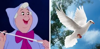 6 Câu Chuyện Thay Đổi Rất Nhiều Trong Nhiều Năm, Chúng Kết Thúc Với Một Cốt Truyện Hoàn Toàn Khác