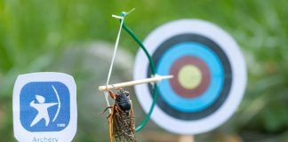 Những chú ve sầu “tham dự Olympic” trong các bức ảnh nghệ thuật thu nhỏ