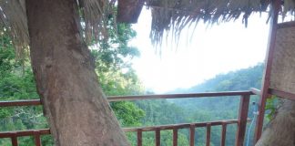 14 phòng nhà vệ sinh view đẹp “lộng lẫy”, dành cho… người liều