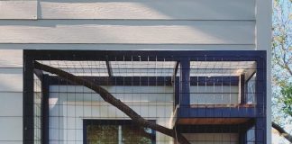 9 mẹo giúp thú cưng của bạn sống lâu