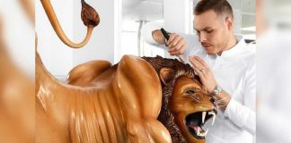 Kinh ngạc với chú sư tử với kích thước như thật bằng sô cô la