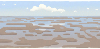 Google Tôn vinh biển Wadden