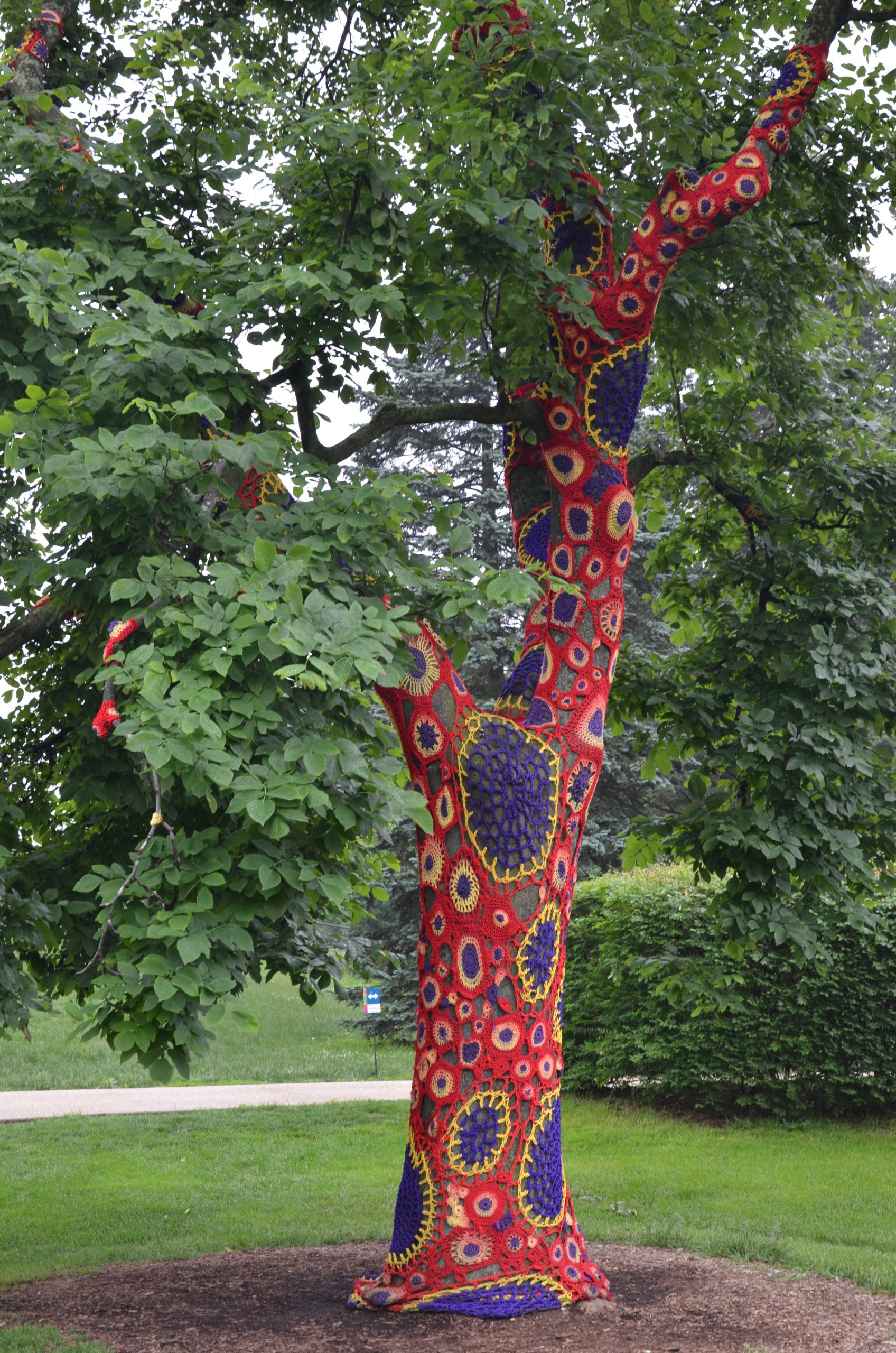 Crocheted Tree Cozy tại Arboretum Crocheted Tree Cozy tại Arboretum