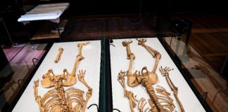 Hai họ hàng người Viking đoàn tụ ở Đan Mạch sau 1.000 năm