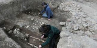 Nhà thờ 1.000 năm tuổi tuyệt vời được phát hiện dưới cánh đồng ngô